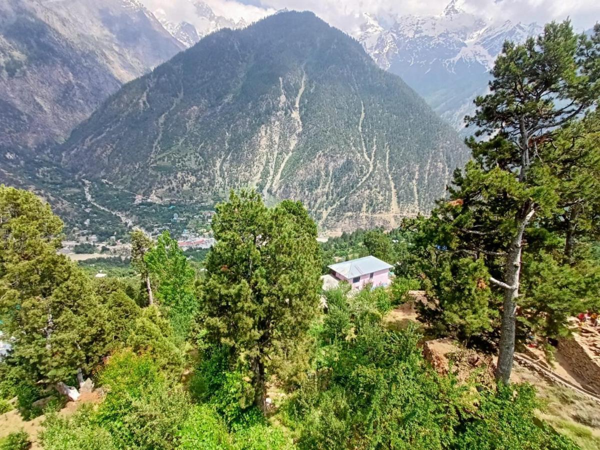 The Shudarang Inn Kalpa Exteriér fotografie