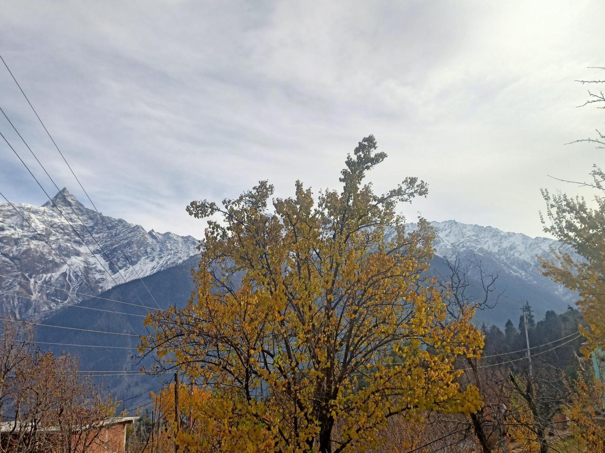The Shudarang Inn Kalpa Exteriér fotografie